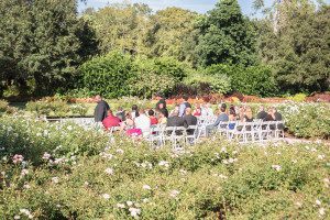 Leu garden wedding by top Orlando wedding photographer