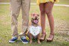 Tips for bringing your dog to the engagement session from pro orlando photographer