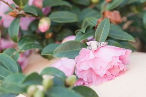 Engagement ring on a blush pink rose during an engagement session in Winter Park captured by Orlando wedding photographer
