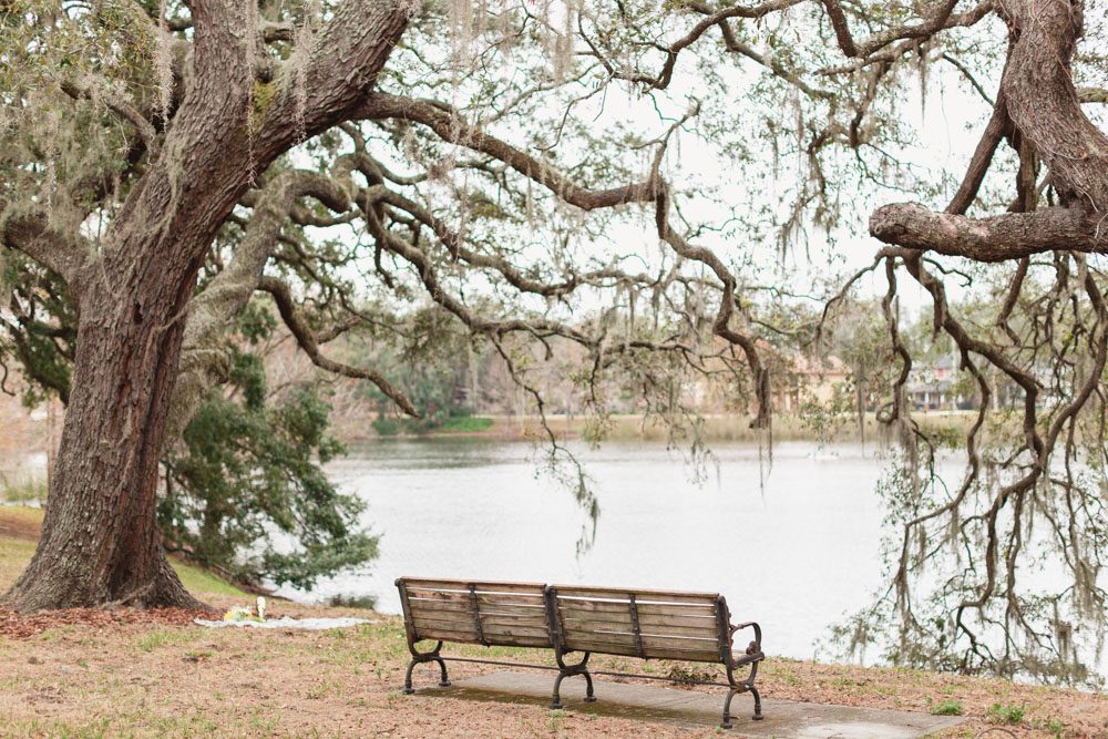 Surprise marriage proposal under a tree picnic style by the lake in Downtown Orlando Florida