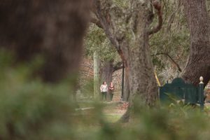 Orlando Photographer sneakily captures the couple as they walk up prior to the surprise proposal