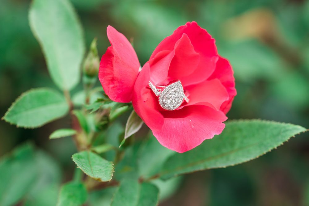 Close up of the engagement ring on a rose during a surprise proposal at Disney resort in Orlando, Florida