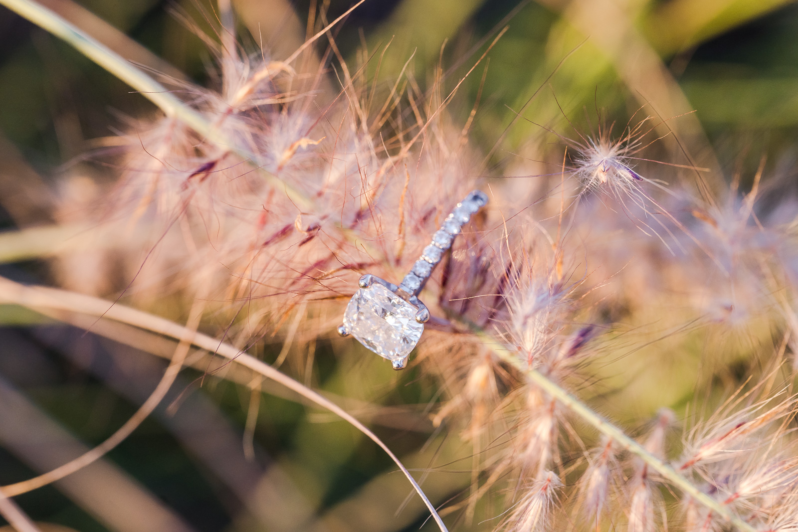 Close up of engagement ring on foxtail by top Orlando photographer in Lake Nona