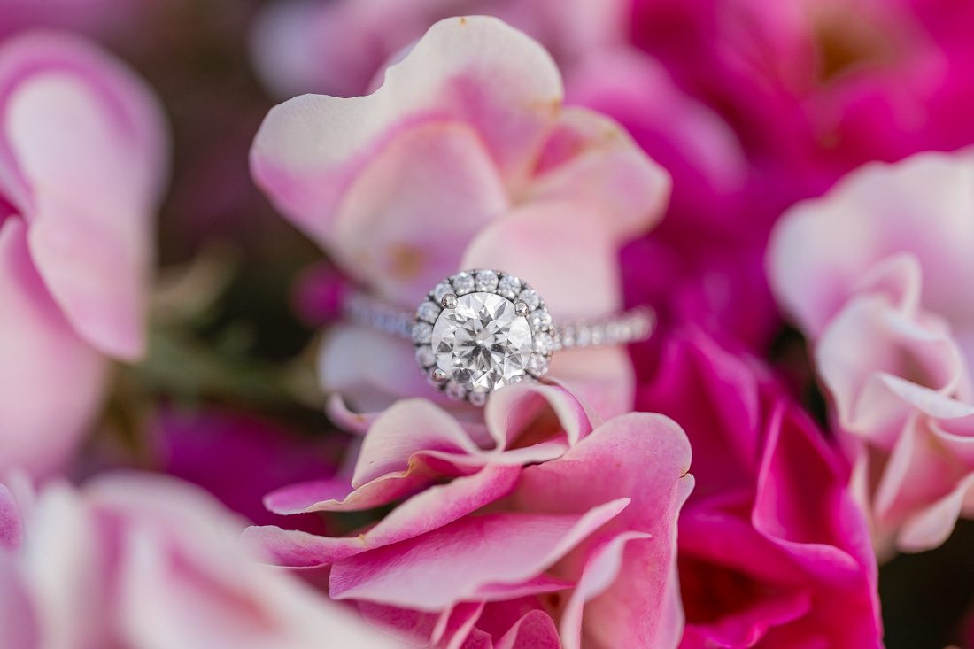 Close up engagement ring shot on pink flowers in a rose garden at top Orlando photo shoot location Leu Gardens