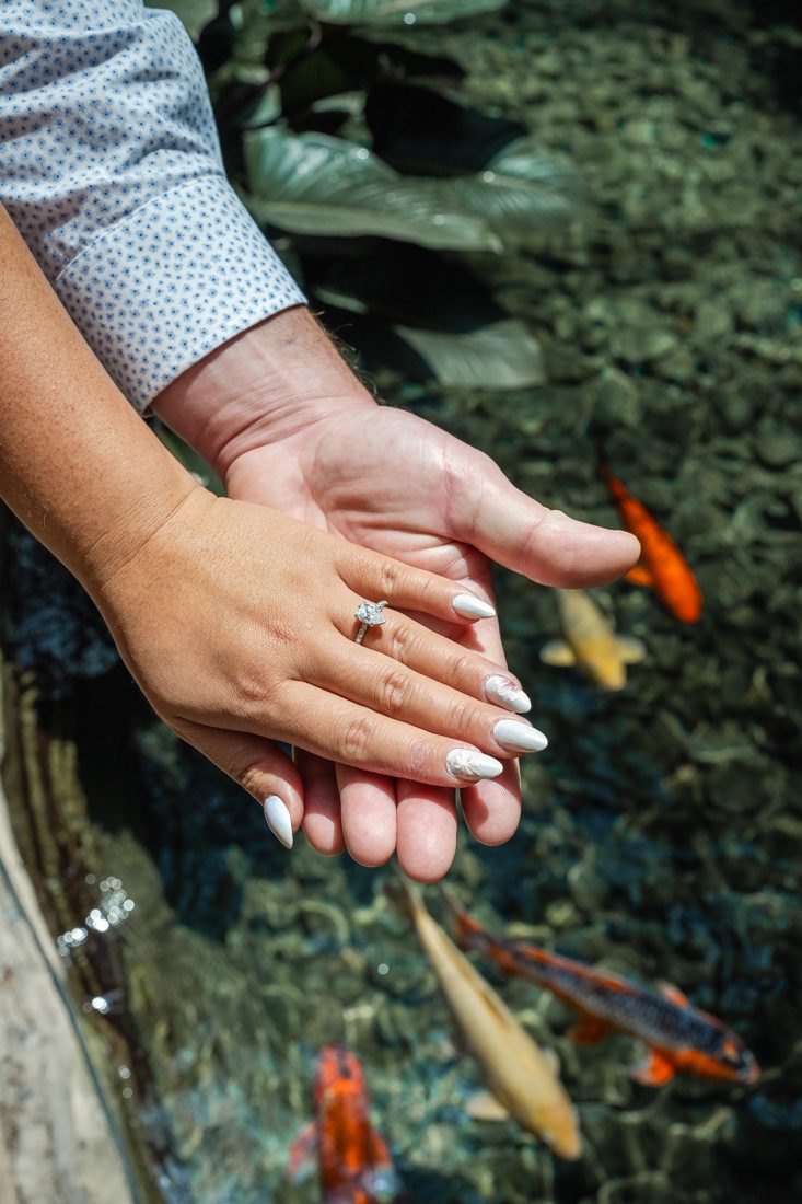 Engagement ring photo with koi fish for good luck for an Orlando engagement session with Captured by Elle